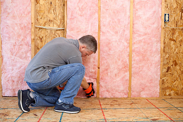 Best Insulation for Specific Applications in Elmo, TX